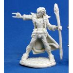 Reaper Miniatures Damien Hellborn Wizard