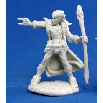 Reaper Miniatures Damien Hellborn Wizard