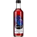 Bickfords Esprit Juice Blueberry 300ml