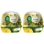 Air Wick Air Freshener Scented Gel Cone Aromatic Blooming Lemon 2pcs 180g