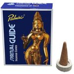 Padmini Spiritual Guide - Incense Cones 12s