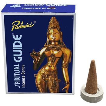 Padmini Spiritual Guide - Incense Cones 12s