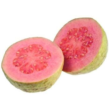 Guava Pink           