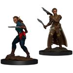 Wizkids Shifter Rogue Female
