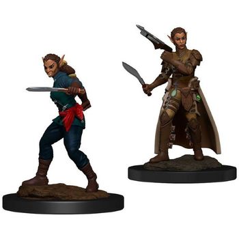 Wizkids Shifter Rogue Female