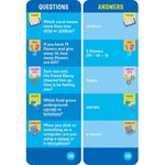 Brain Quest Smart Cards Grade 1 Ages 6 To 7