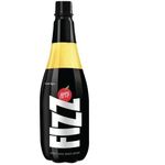 Appy Fizz Apple Juice Based Drink 1L