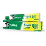 Darlie Double Action Toothpaste 120g