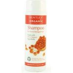 Bentley Organic Dry Damaged Coloured Shampoo