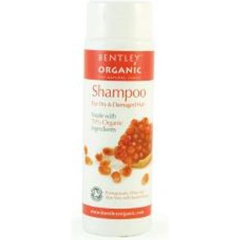 Bentley Organic Dry Damaged Coloured Shampoo