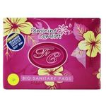 Feminine Comfort Bio Sanitary Pads Night Use Red 10 Pads