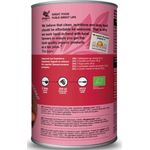 Dragon Superfoods Organic Protein Shake Strawberry and Coconut 450g