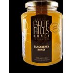 Blue Hills Blackberry Raw Honey 500g
