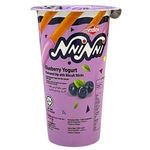 CVMallow Nni Nni Biscuit Sticks Blueberry 35g