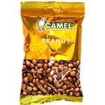 Camel Ikan Bilis Peanuts 40g