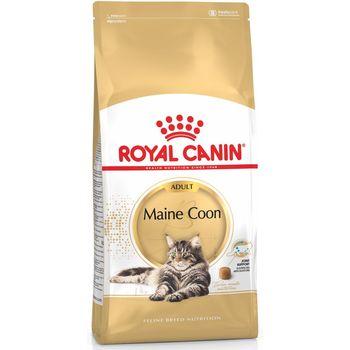 Royal Canin Cat Food Maine Coon Adult 4kg