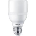 Philips LED Bulb 104W T60 E27