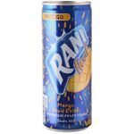 Rani Mango Float 240g