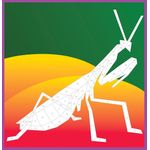 Workman Publishing Paint By Sticker Kids Beautiful Bugs