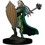 WizKids D&D Icons Of The Realms Premium Figure Elf Paladin Female