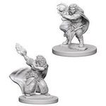Wizkids Dwarf Wizard Female