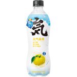 Genki Forest Soda Drink Sea Salt Coconut 480ml