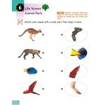 Kumon Science Sticker Activity Book Pre K And Up