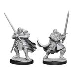 Wizkids Half-Orc Paladin