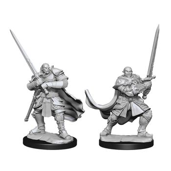 Wizkids Half-Orc Paladin