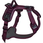 Non-Stop Ramble Harness XS Purple