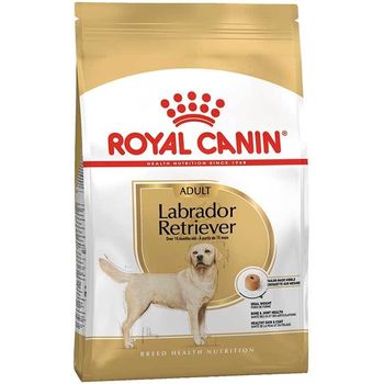 Royal Canin Labrador Adult 12kg x 2 bags