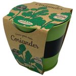 Boutique Garden Pastel Colours Pots Chalk Coriander