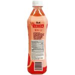 Master Kong Grapefruit Drink 500ml