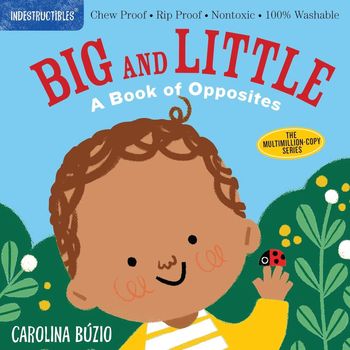 Workman Publishing Indestructibles Big And Little