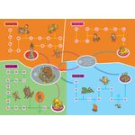 Brain Quest Summer Brain Quest Between Grades 3 & 4