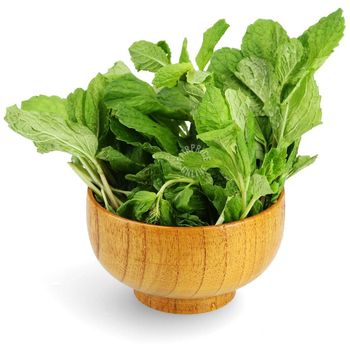 Mint Leaves Approx 100gm