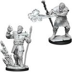 Wizkids Firbolg Druid (Wave 11)