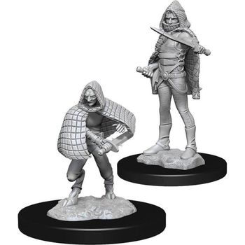 Wizkids Dd Nolzurs Marvelous Miniatures Darlkling Elder And Darklings Miniatures