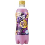 Asahi Beverage Calpis Soda Grape Ground With Peel 500ml