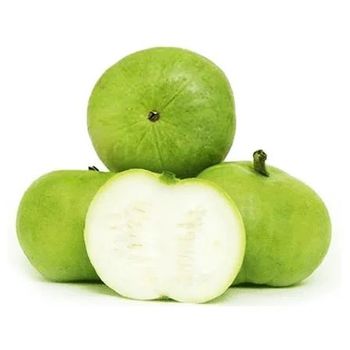 TINDA ROUND GOURD