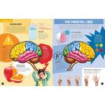 Chartwell Books Inside Out Human Brain