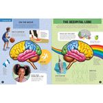 Chartwell Books Inside Out Human Brain
