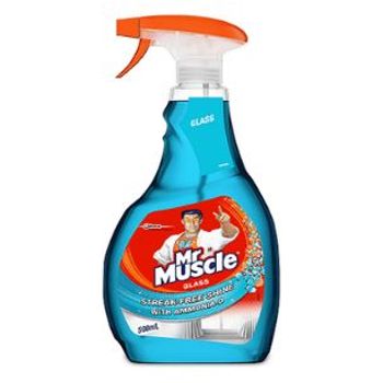 Mr Muscle Windex Advanced Glass Cleaner 500ml