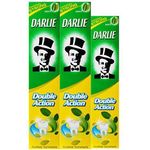 Darlie Double Action Toothpaste Natural Mint 600g