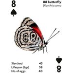 Kaddo Brilliant Bugs Playing Cards