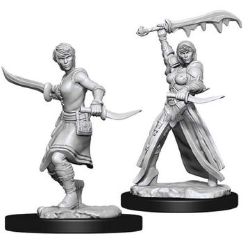 Wizkids Human Rogue Female (Wave 10)