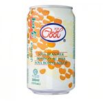 Ice Cool Soya Bean 300ml