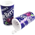 Viva Naturals Orion Mini Jar Blueberry Flavored Candy 9g