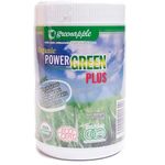 Green Earth Organic Pumpkin Ramen 500g