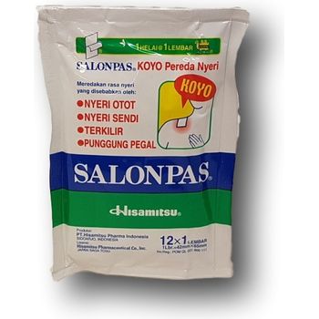 Hisamitsu Anti Pain Dressing Salonpas 12 Pieces